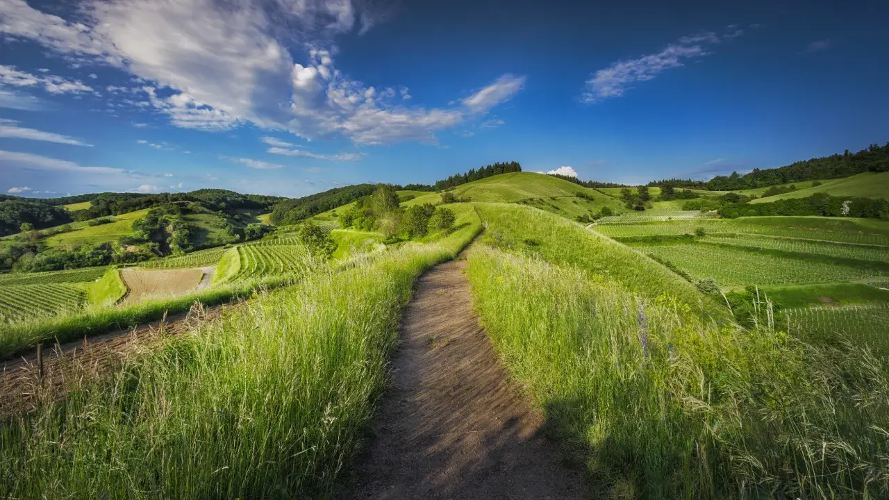 landscape